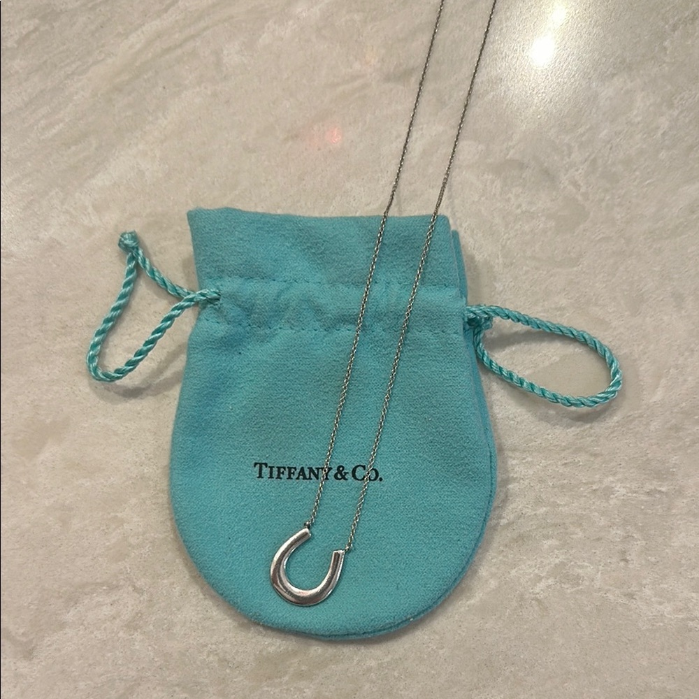 Tiffany & Co. Sterling Silver Horseshoe Pendant Necklace